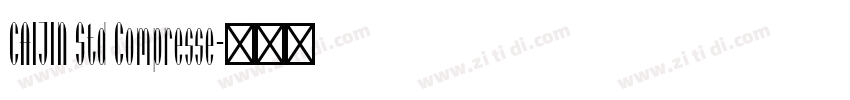 CAIJIN Std Compresse字体转换